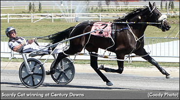 Rumpel Memorial Elims In The Books