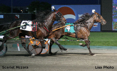 Scarlet Mczara, Special Sweetheart In NJSS Action