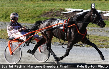 Winning Is In The ‘Scarlet’ Blood