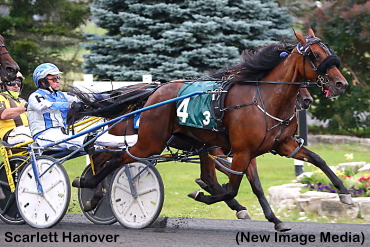 Fillies Flaunt It In Gold Divisions