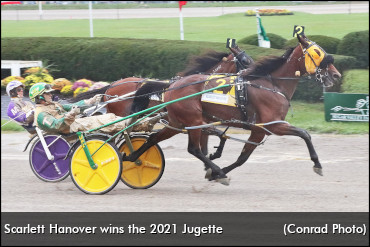 Scarlett Hanover Prevails In Jugette