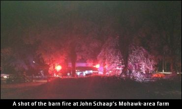 Five Horses Perish In Barn Fire