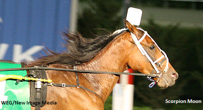 Willowdale, Glorys Comet Prelims Saturday