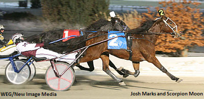 Making His Mark At Woodbine