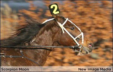 Scorpion Moon Pockets Open Victory