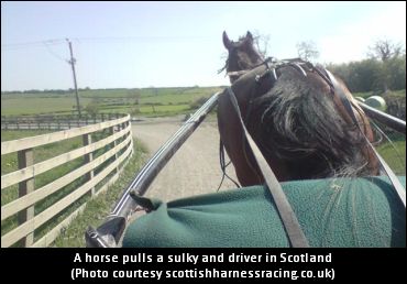 Students Experiment With Sulkies