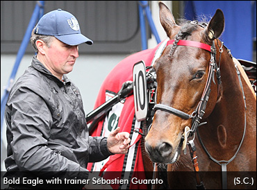 Brian Sears To Drive Bold Eagle