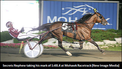 Secrets Nephew To Stand Stud In 2010