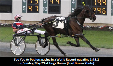 See You At Peelers' Next Start