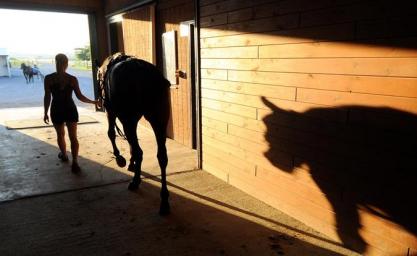 So God Made a Racehorse