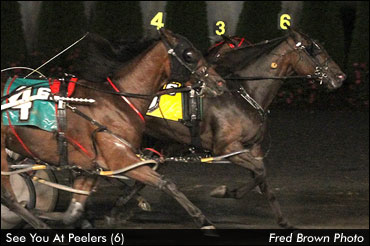 'Peelers' Settles For Second, No Jug  'Peelers' Settles For Second, No Jug