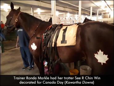 Kawartha Downs Celebrates Canada Day