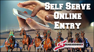 Tips & Resources For Online Entry