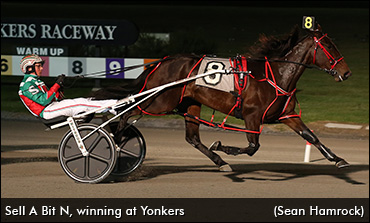 Trainer Smitten With Sell A Bit