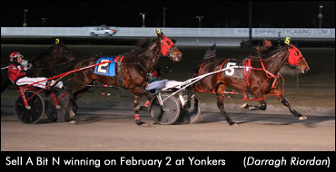 Sell A Bit N Delivers In Mares Open