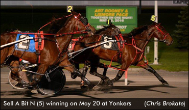 Sell A Bit N Wins Yonkers Distaff