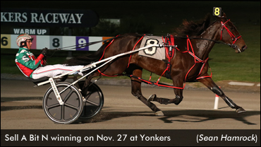 Another Open Victory For Sell A Bit N