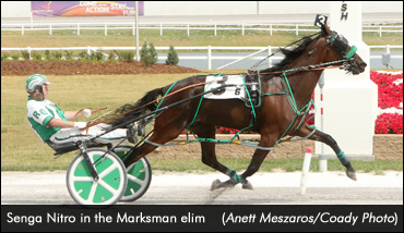 Sophomores Take Aim At Marksman