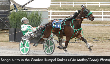 Senga Nitro Dominates In Rumpel