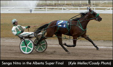 Catching Up With Alberta's Trainers