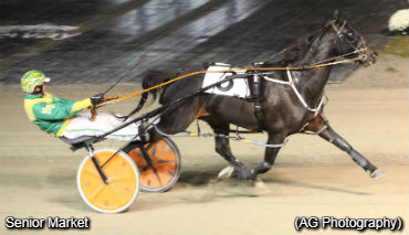 Senior Market Goes The Distance