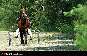 September’s Calendar Photographer