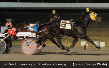 Ontario-Bred Mare Wins Yonkers Open