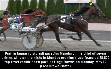 Seven-Bagger For Marohn