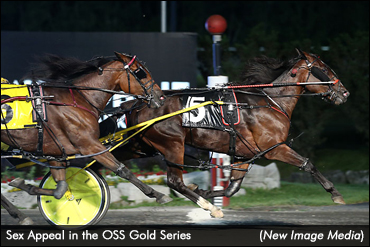 Sex Appeal Repeats In OSS Gold