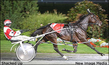Shacked Up Takes OSS Gold Final