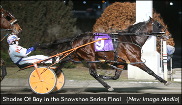 Shades Of Bay, Double Olives Win Series