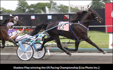 Shadow Play 2010 Stud Fee Set