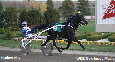 Shadow Play Shut Down For 2008