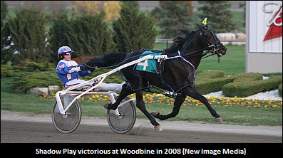 Scramble Mode For 'Team Shadow Play'