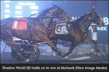 Shadow World Upsets In Niagara