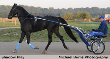 Savard Back In the Spotlight