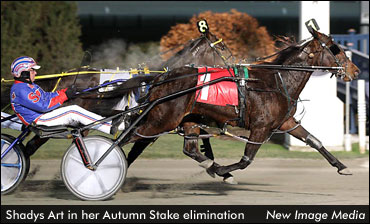 Mr. Movember Sweeps Autumn Elims