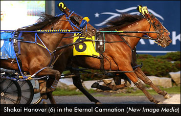 Freshmen In Stakes Spotlight