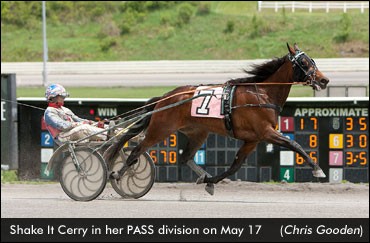 Shake It Cerry Wins 2014 Debut