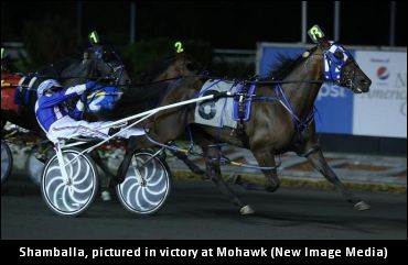 ‘Zenyatta-Like’ Presence From Shamballa?