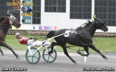 Shark Gesture Takes Bettors Delight