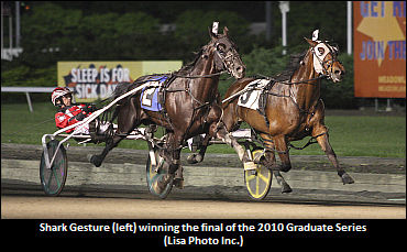 Shark Gesture Heads Bettors Delight