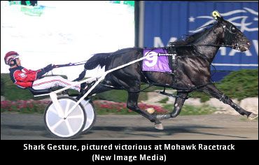 Shark Gesture To Ohio