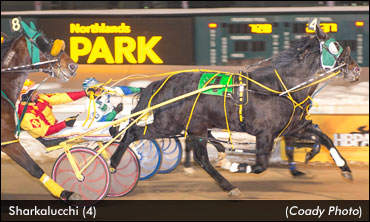 Sharkalucchi Upsets In WCPD