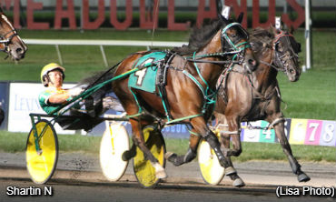 Shartin N Dominates In Golden Girls