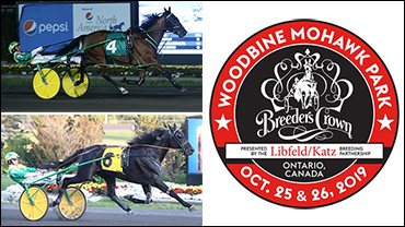 Stars Tune Up At The Meadowlands