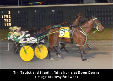 King Confident In Shartin