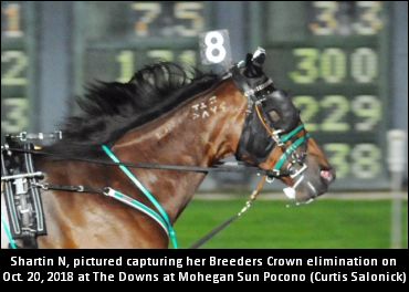 “I Want [Horse Of The Year] So Bad”