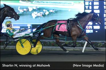 Shartin N Back In To Go