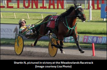 Shartin N’s Bro Impresses Trainer